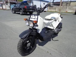 Honda Zoomer. 49����. ��., ��������, ��� ���, ��� ������� ����