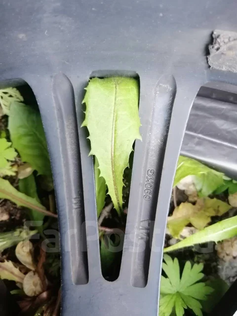 Anhelo BF. x20", 5x114.3, �� 60,1���. ����