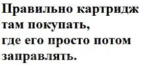 ���������. ����