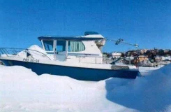 Nord Star Patrol. 2009 ���, ����� 9,3��., 370��.�. ����