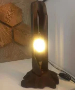 ����� ���������� ����
