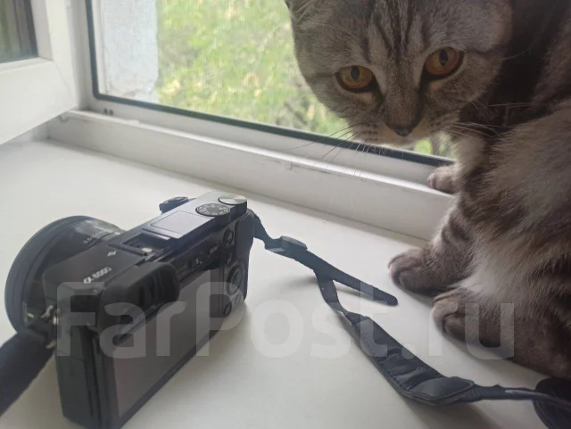 Sony Alpha ILCE-6000. 20 � ����� ��, ���: 10� ����