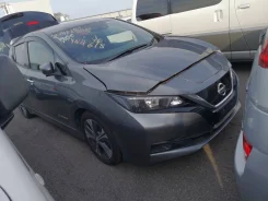 Nissan Leaf. ZE1, EM57 ����