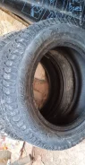 Cordiant Polar. ������, ��� �����, 2022 ���, �/�, ����� �� 5 % ����