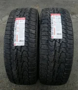 Nankang AT-5. ����� at, 2018 ���, ����� ����
