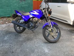 ���. 150����. ��., ��������, ���, � �������� ����