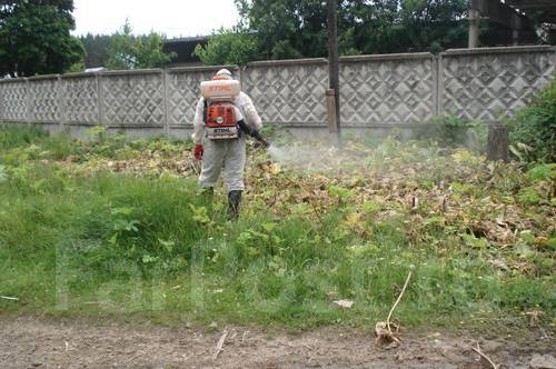 Покосить траву, кустарник на участке. Спилить/распилить дерево, Мульчер ...