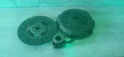 ��������� ���� ������ 244 ������� ����
