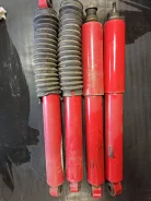 �������� �������������� Skorched 4's 845019 ����