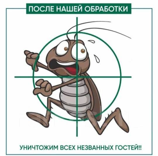 Уничтожение насекомых и грызунов в Артеме
