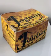 Jaguar ����