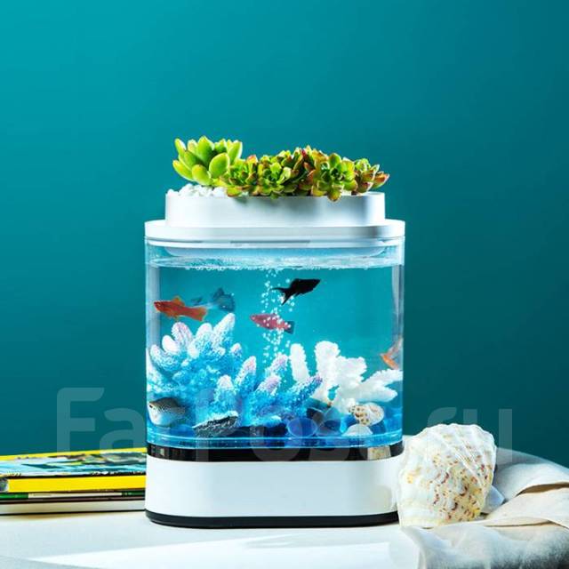 Акваферма Xiaomi Desgeo Mini Lazy Fish Tank Pro C300 - Аквариумистика и ...
