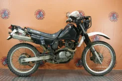 Suzuki ����