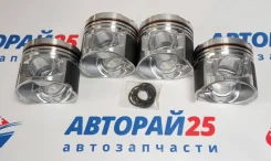 ������ 4D56U STD ����� CRDI ��������� 44�� Alfin 1110A593 1110A593 ����