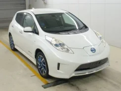 Nissan Leaf. ��������, ��������, �������������, 42 000����. ��, �/�. ��� ����� �� ������������ ����