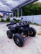 Tiger. ��������, ��� ���\���, ��� ������� ����
