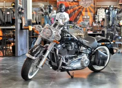 Harley-Davidson Softail Deluxe FLSTN. 1 745����. ��., ��������, ���������, ������ �� �� ����