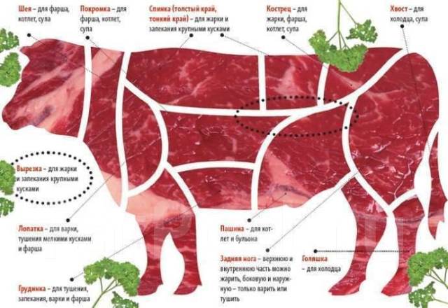Как сделать мясо говядины мягким и сочным. Как сделать мясо говядины мягким и сочным