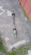 ������ ���� ����