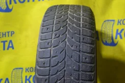 Bridgestone Winter Radial WT-17. ������, ����������, �/�, ����� 50 % ����