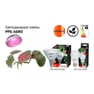 ����� ������ LED �60 �27 9�� FR "����" AGRO JAZZway - Led-Elektro ����