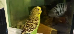 �������. ����