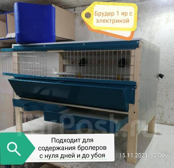 Брудер для цыплят Профессионал БР-1 Премиум (БР-1У) купить в Москве