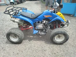 Yamaha Grizzly 80. ��������, ��� ���\���, �� ����