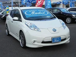 Nissan Leaf. ��������, ��������, �������������, 39 000����. ��, �/�. ��� ����� �� ������������ ����