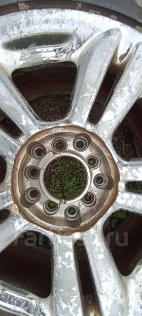 Valente. 7.0x17", 9x100, 5x110 ����