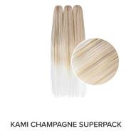 ����������. ����