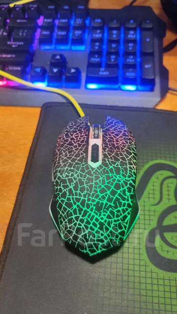 ���� �������. ����