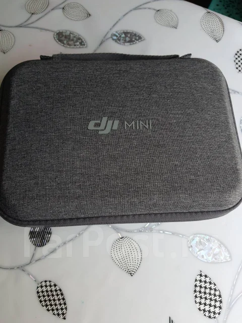 DJI Mini SE. � ������� ����