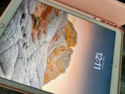 Apple iPad Pro 9.7 ����