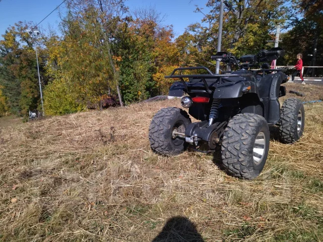 Yamaha Grizzly. ��������, ��� ���\���, �� ����