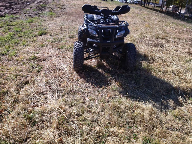 Yamaha Grizzly. ��������, ��� ���\���, �� ����