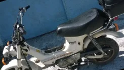 Honda Chaly. 110����. ��., ��������, ��� ���, � �������� ����