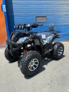 Grizzly. ��������, ��, ��� ������� ����