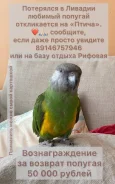 �������. ����