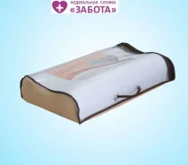 ������� ���� �������� ��ͻ LL-2,4 ����