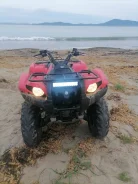 Yamaha Grizzly. ��������, ��� ���\���, �� ����