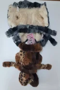 ����. ����