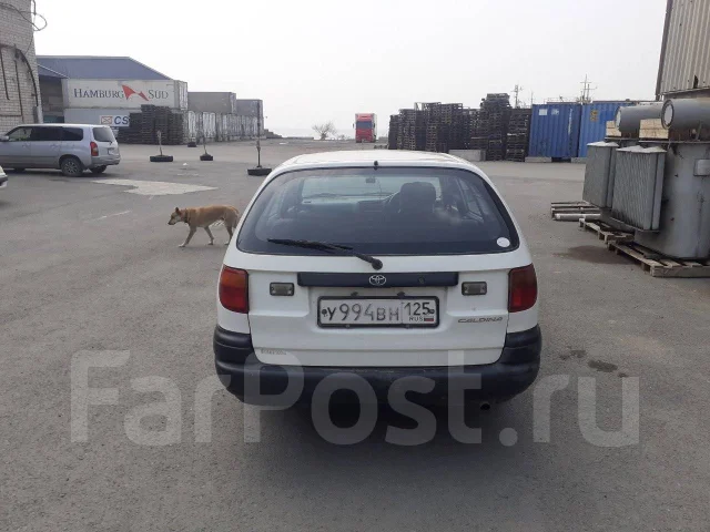 Toyota Caldina. ��������, 4wd, 2.2 (58��.�.), ������, 292 594����. �� ����