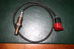 ������-���� �������� ������� (MN176515) MN176515 ����