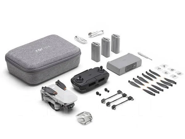 DJI Mini SE. � ������� ����