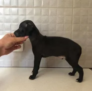 ��������. ��� ����� �� ���������� ����