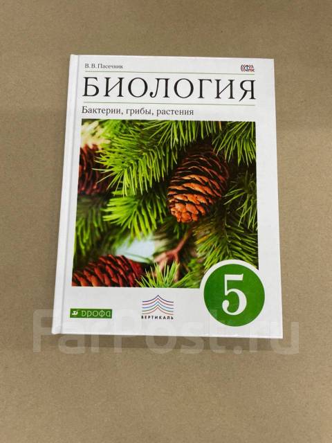 Биология пятый класс учебник пасечник. Электронный учебник по биологии 5-6 класс. Гдз по биологии 10 класс Пасечник углублённый уровень. Конспект по биологии 5 класс параграф 8.