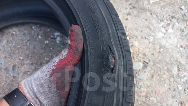 Falken Espia EP03. ������, ��� �����, 2006 ���, �/�, ����� 10 % ����