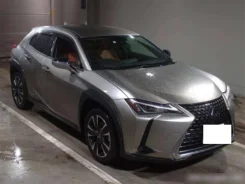 Lexus UX250h. ��������, ��������, 2.0 (146��.�.), ������, 9����. ��, �/�. ��� ����� �� ������������ ����