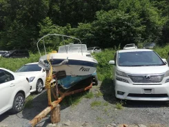 Yamaha Fish 22. 1993 ���, ����� 7��., ��������� ���������, 115��.�., ������ ����